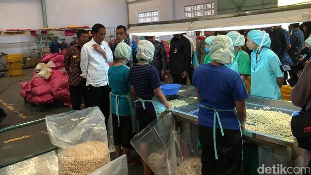 Presiden Jokowi kunjungi pabrik mete di Makassar