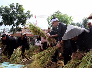Mulai 2017, Gagal Panen di Purwakarta Bakal Diganti Asuransi Rp 10 Juta