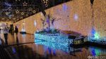 Pohon Natal Raksasa & Terowongan dengan Kelip Lampu Meriah di Jepang