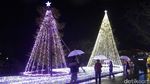 Pohon Natal Raksasa & Terowongan dengan Kelip Lampu Meriah di Jepang