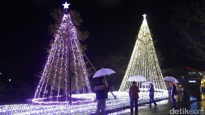 Pohon Natal Raksasa & Terowongan dengan Kelip Lampu Meriah di Jepang