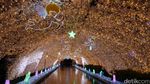 Pohon Natal Raksasa & Terowongan dengan Kelip Lampu Meriah di Jepang