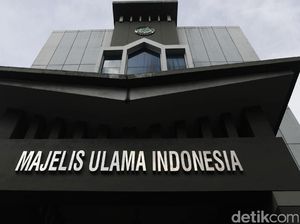 MUI: Pemerintah Harus Tinjau Ulang Keterlibatan RI di Board of Peace