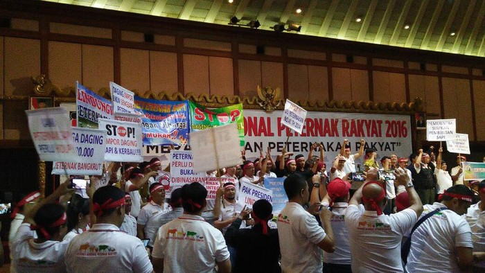 Curhat Peternak Ayam Kelas UMKM: Hidup Segan Mati Tak Mau