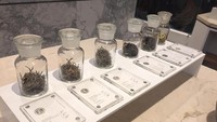 Pengunjung berkesempatan menghirup daun teh kering sehingga bisa membayangkan aroma dan rasa teh yang akan dipesan.