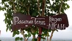 Tebing Breksi, Satu Lagi Spot Instagenic di Yogya