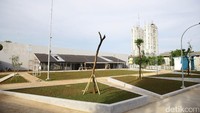 Rumput taman tampak sudah menghijau.