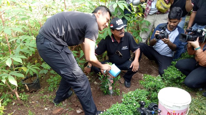 Tanam Pohon, Agus Yudhoyono Tekankan Pentingnya RTH di Jakarta