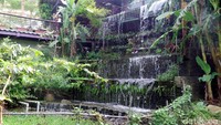 Foto: Ada juga restoran, serta coffee shop yang menawarkan kuliner lezat tanpa ada bumbu penyedap instan di dalam resepnya. Maklum, taman wisata ini dikelola oleh sebuah keluarga yang sudah bertahan selama 3 generasi (Wahyu/detikTravel)