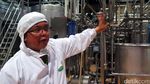 Peternakan Sapi Ini Menyatu dengan Pabrik Susunya