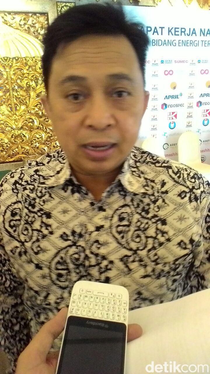 Wakil Ketua Umum Kadin Bidag Energi Baru Terbarukan dan Lingkungan Hidup