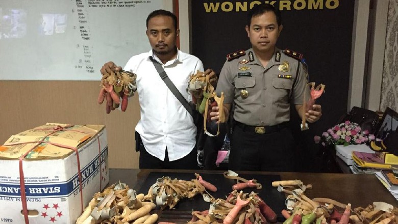 1.000 Katapel Akan Dikirim ke Maros Diamankan Polisi di 1.000 Katapel Akan Dikirim ke Maros Diamankan Polisi di