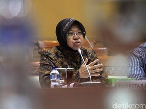 Risma dan Komisi III DPR Bahas Kasus Pasar Turi Surabaya