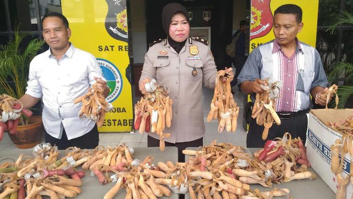 Rencana Pengiriman 1.000 Katapel Melanggar Hukum? Ini Jawaban Polisi