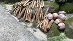 Rumah Bertiang 10 Meter & Penduduk Panjang Umur di Selayar