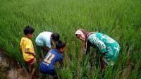  Pelajar Purwakarta 'Buntuti' Orangtua Dua Minggu Sekali  