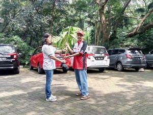 Pecinta Calya Tanam 100 Bibit Pohon di Hutan Kota