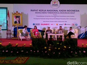 ESDM Kaji Ulang Aturan Energi Baru Terbarukan