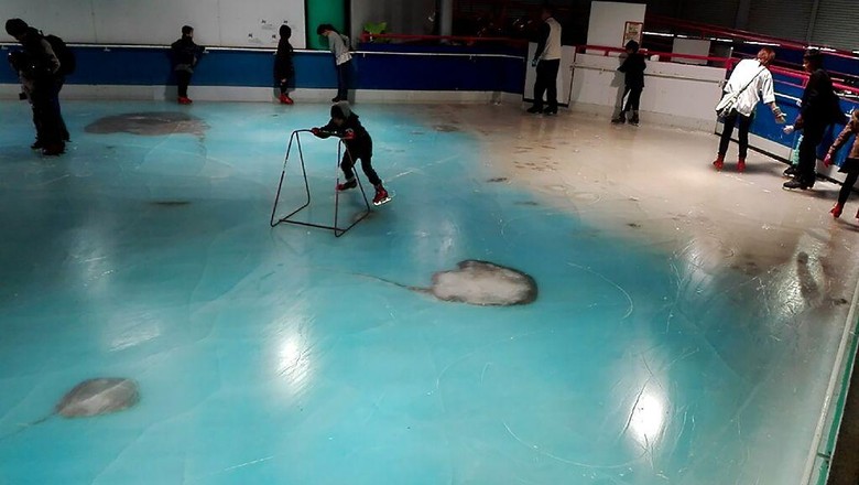 Bekukan 5 Ribu Ikan untuk Hiasan, Arena Ice Skating di Jepang Ini Ditutup Bekukan 5 Ribu Ikan untuk Hiasan, Arena Ice Skating di Jepang Ini Ditutup
