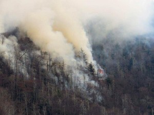 Kebakaran Hutan di AS Belum Padam, Korban Tewas Bertambah Jadi 11 Orang