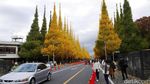 Bukan Mimpi, Musim Gugur Seindah Ini Ada di Tokyo