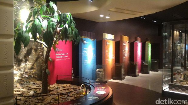 Museum coklat Royce Chocolate (Aryo/detikTravel)