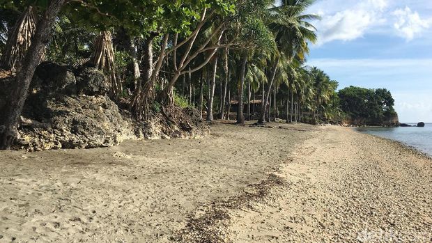 Cottage unik di Pantai Sunari (Esty/detikTravel)