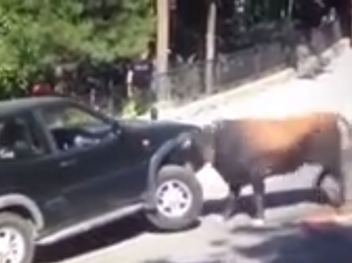 Nissan Terrano Jadi Bulan-bulanan Banteng Ngamuk