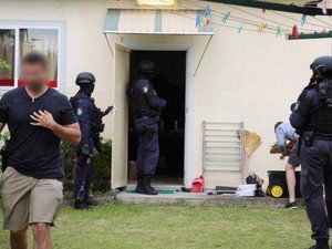 Polisi di Sydney Bongkar Ladang Ganja Senilai Rp 25 M