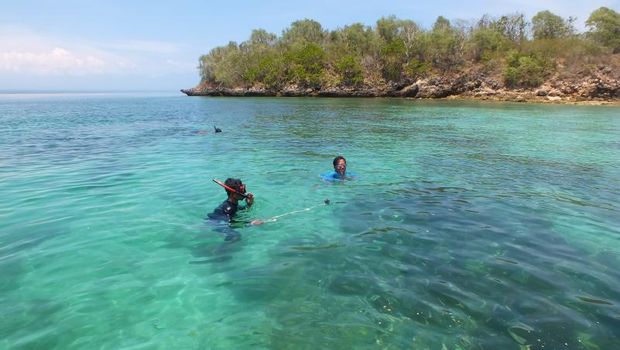 Pantai Pink di Lombok