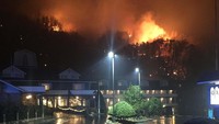 Sejauh ini dilaporkan tujuh orang tewas akibat kebakaran hutan ini. Namun identitas tujuh korban tewas itu belum dirilis otoritas setempat. Tennessee Highway Patrol/Handout via REUTERS.