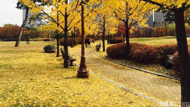 Taman kota yang berwarna, sudut menawandi Korea