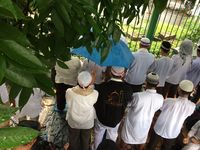 Saat Massa Aksi 2 Desember Salat Jumat dengan Berpayung dan Berjas Hujan