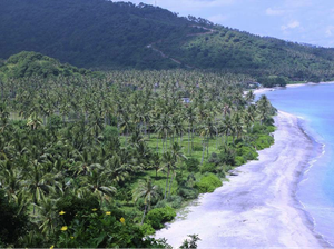 Industri Pariwisata Lombok Beramai-ramai Registrasi ITX