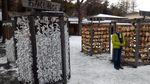 Patung Pendiri Kota Sapporo & Ramalan Nasib di Kuil Hokkaido Jingu