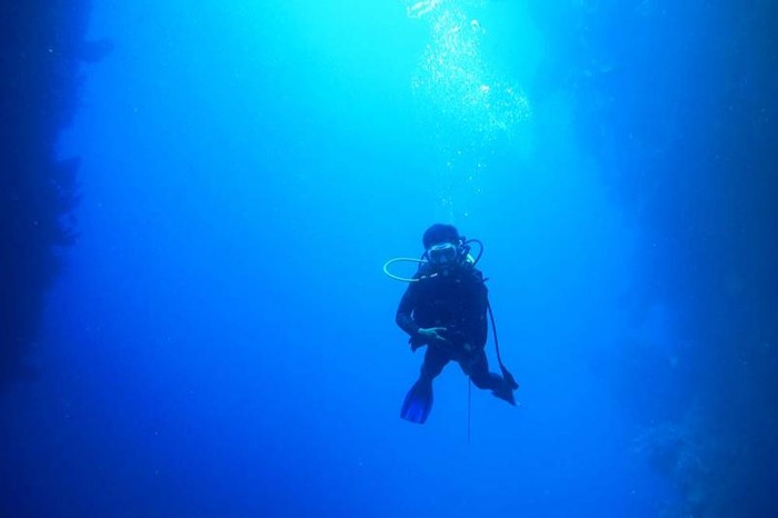 Seorang penyelam sedang diving di antara 2 tebinng laut di Gorontalo