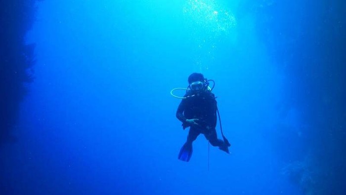 Seorang penyelam sedang diving di antara 2 tebinng laut di Gorontalo