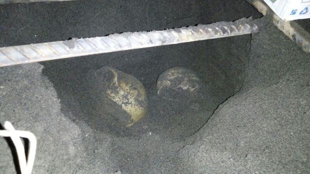 Dua tengkorak kepala manusia yang ditemukan