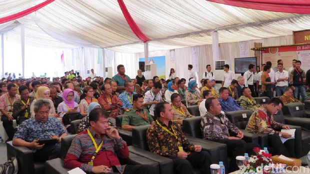 Berusia 150, Nestlé Dorong Kesejahteraan Petani Kopi