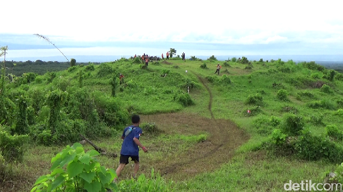 Banyuwangi Ijen Green Run 2016, Suguhan Wisata Alam Berbalut Olahraga