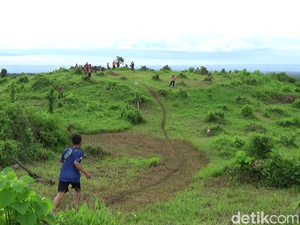 Banyuwangi Ijen Green Run 2016, Suguhan Wisata Alam Berbalut Olahraga
