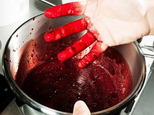 Menurut The Nordic Food Lab, Darah dan Feses Bisa Jadi Sumber Makanan Masa Depan