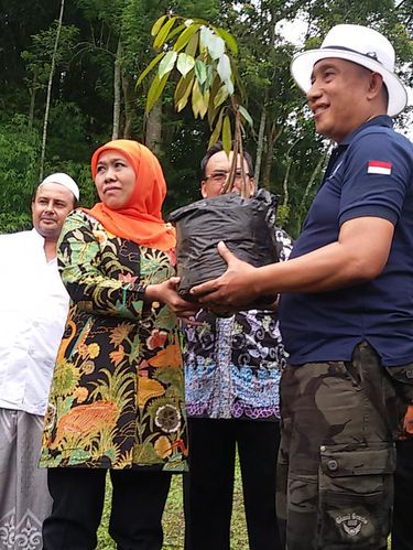 Pemerintah Tegaskan Pemda Bisa Keluarkan 100 Ton Beras untuk Korban Bencana