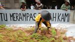 Greenpeace Aksi Tanam Padi di Depan Kedubes Jepang