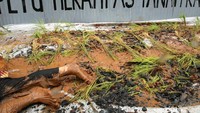 Para aktivis membawa seng bertuliskan tuntutan.