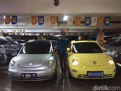 Dari Modal 1 Mobil, Kini Handy Auto Bisa Jual Puluhan Unit