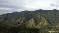 Gunung Nona yang Kebakaran Itu Disebut-sebut Mirip Miss V