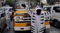 Sebagai bagian dari program pendidikan di jalan, munculnya zebra cross hidup ini terbilang unik.