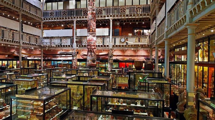 Museum di Inggris Ini Simpan Artefak Hingga Kepala Manusia