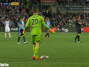 Kisah Seorang Kiper dan Seekor Burung Camar di Pertandingan Final